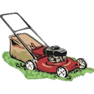 Leaf cleanup and detailed yard care